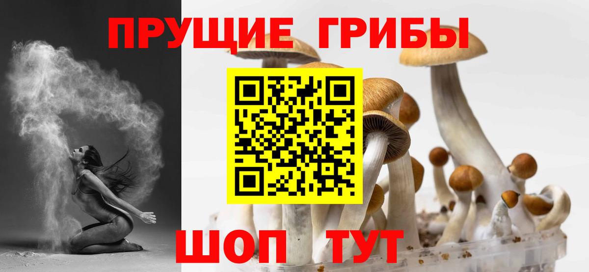 Оренбург  Галлюциногенные грибы GOLDEN TEACHER  Псилоцибиновые грибы Magic Shrooms  Вход с VPN 